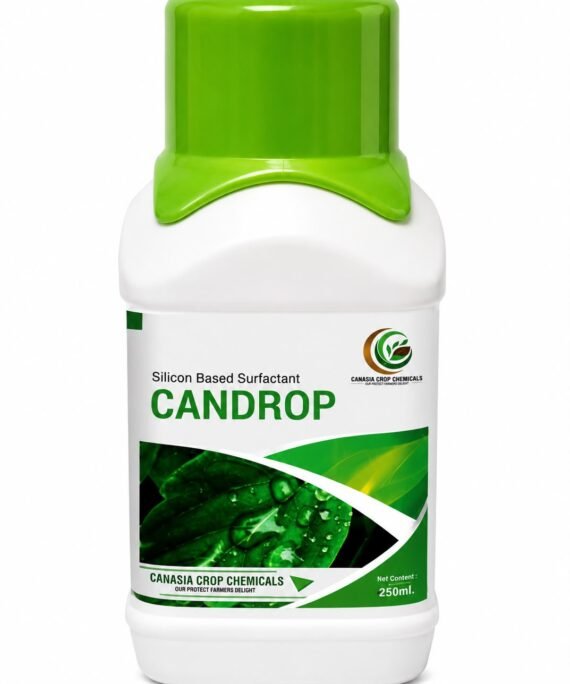 CANDROP