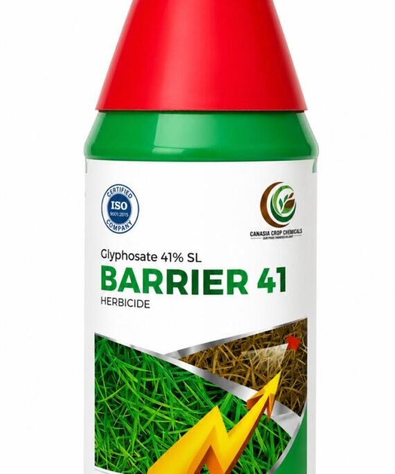 BARRIER 41
