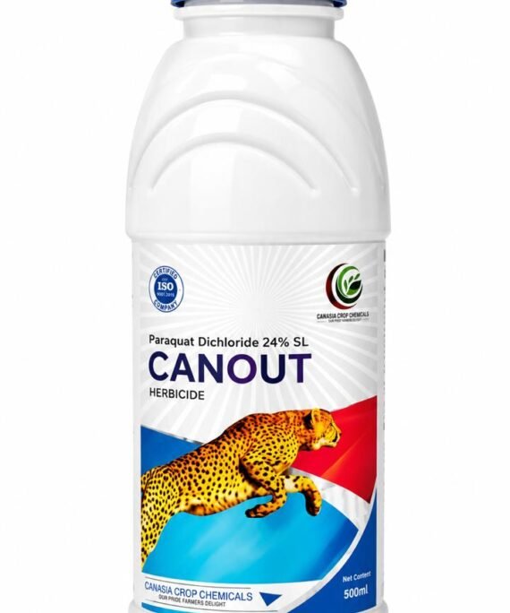 CANOUT
