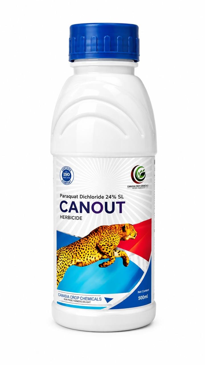 CANOUT