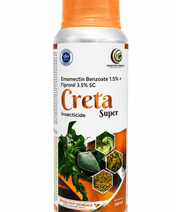 CRETA SUPER