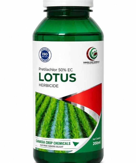 LOTUS