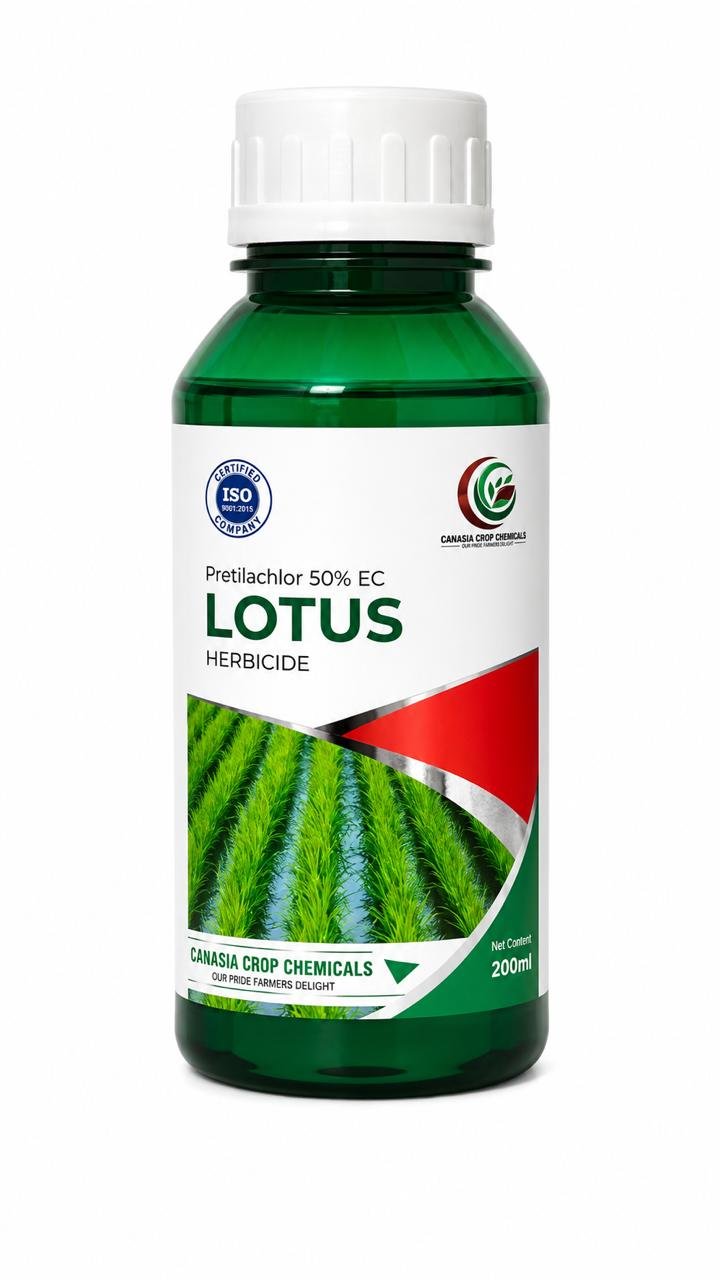 LOTUS