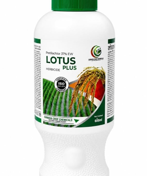 LOTUS PLUS