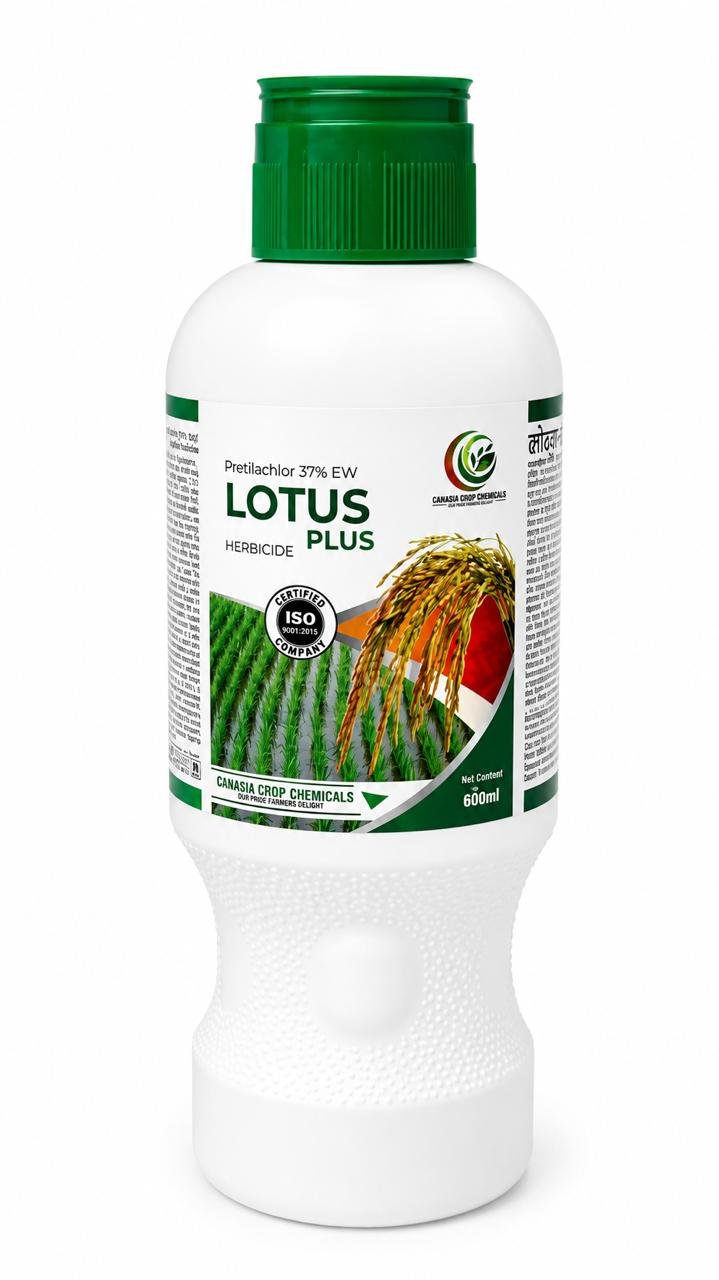 LOTUS PLUS