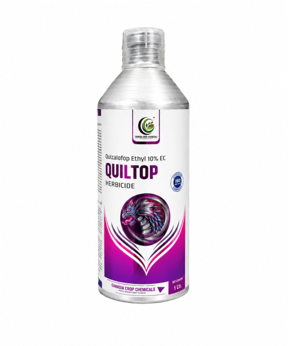 QUILTOP