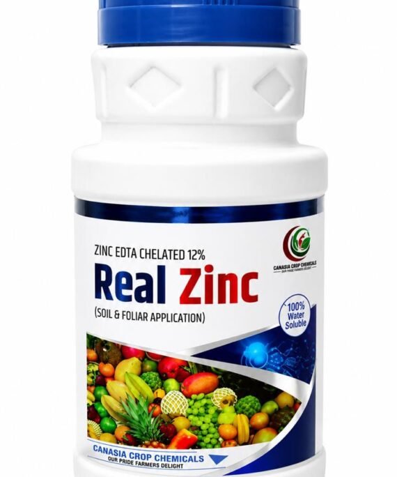 REAL ZINC