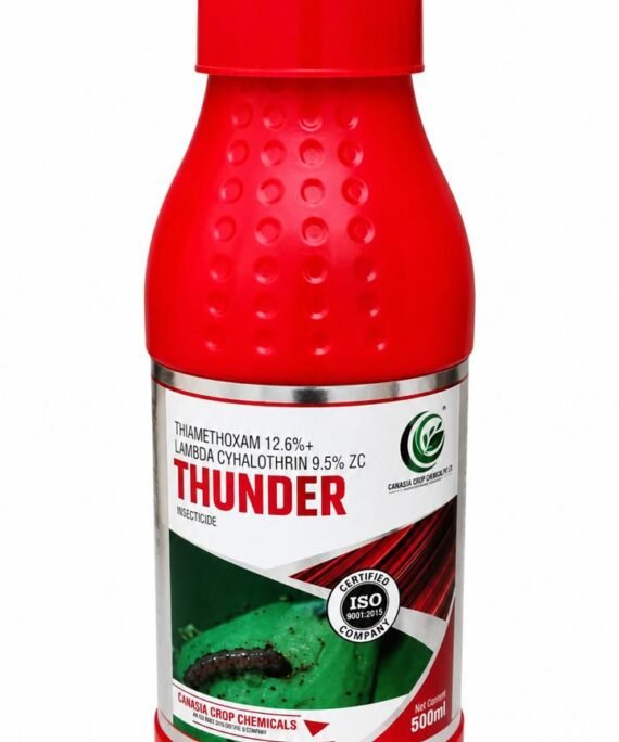 THUNDER