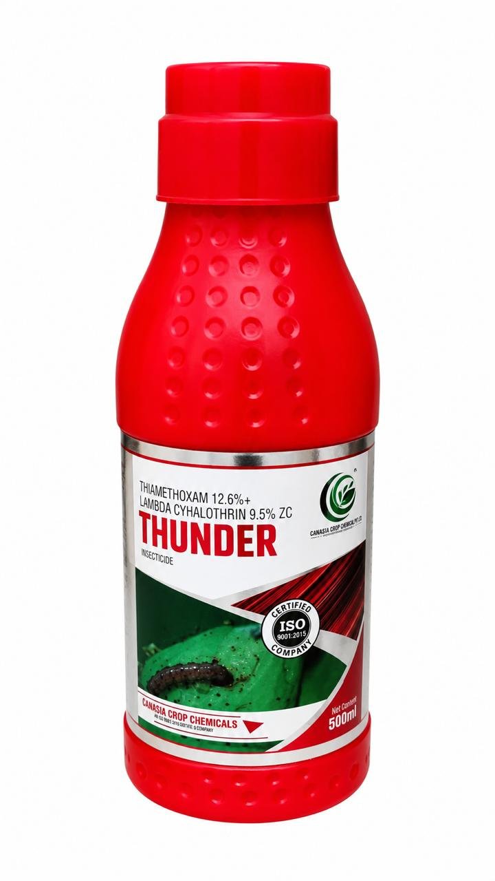 THUNDER